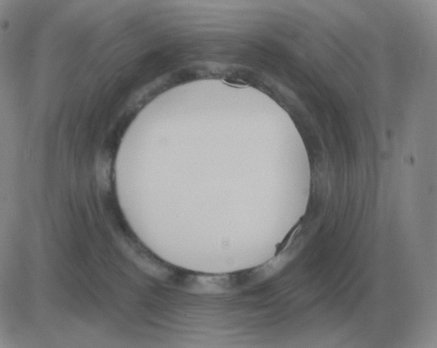 X0000082680188200702232147