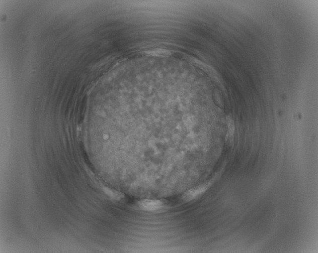 X0000082680189200702232147