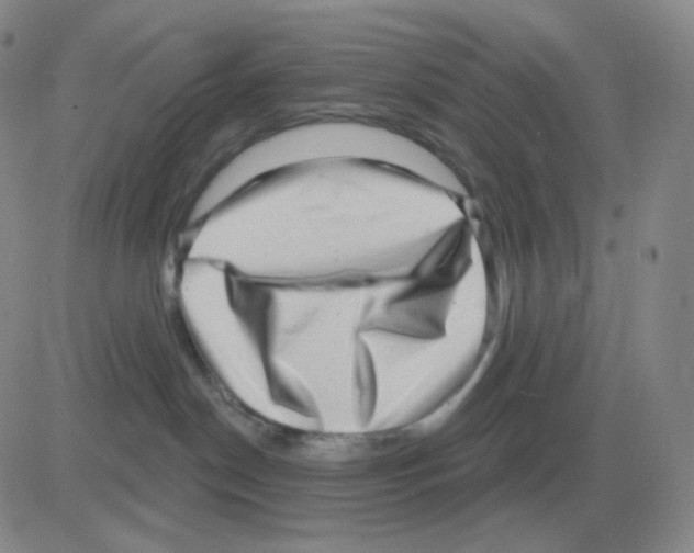 X0000082680190200702232147