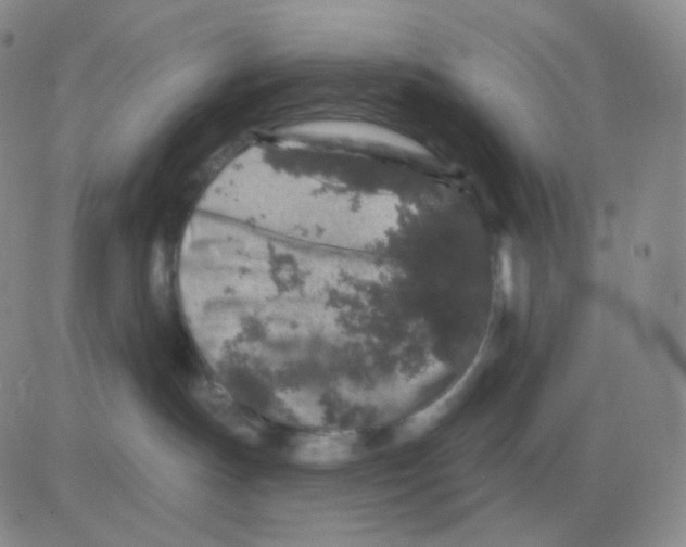 X0000082680191200702232147