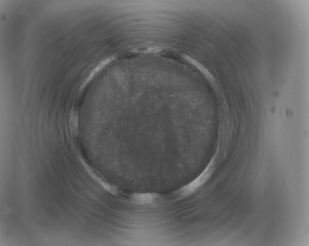 X0000082680192200702232147