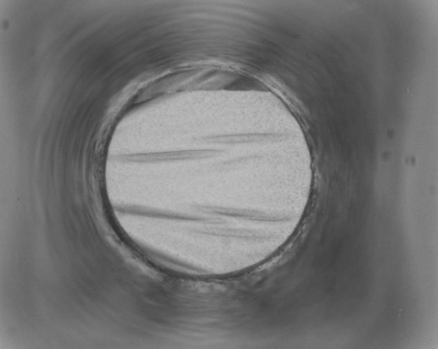 X0000082680193200702232147