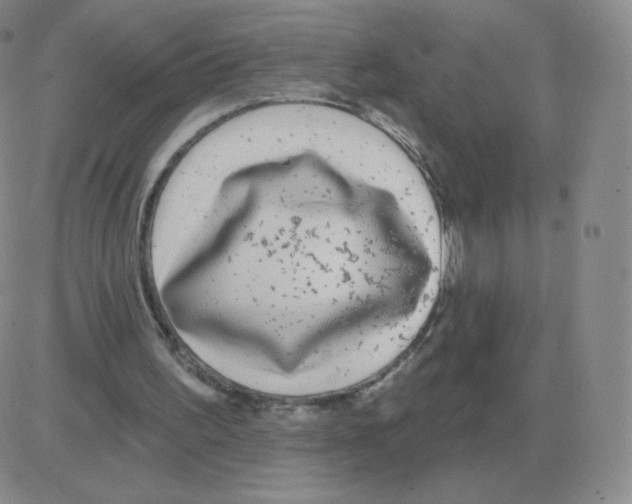 X0000082680195200702232147