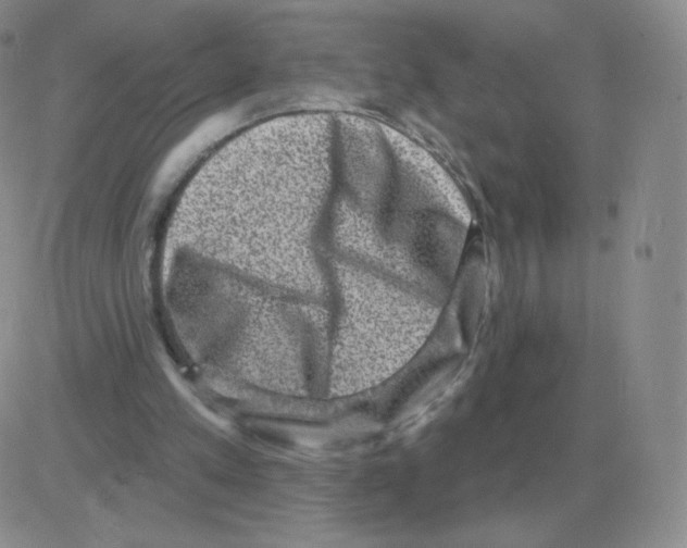 X0000082680197200702232147