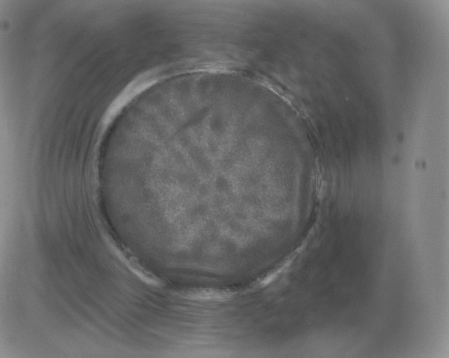 X0000082680198200702232147