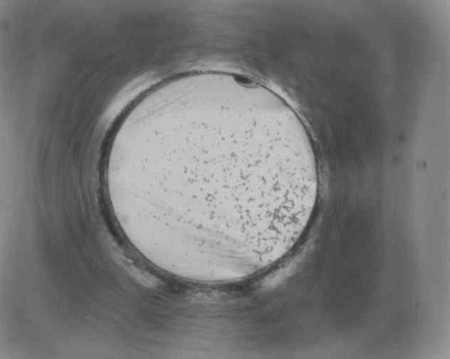 X0000082680199200702232146