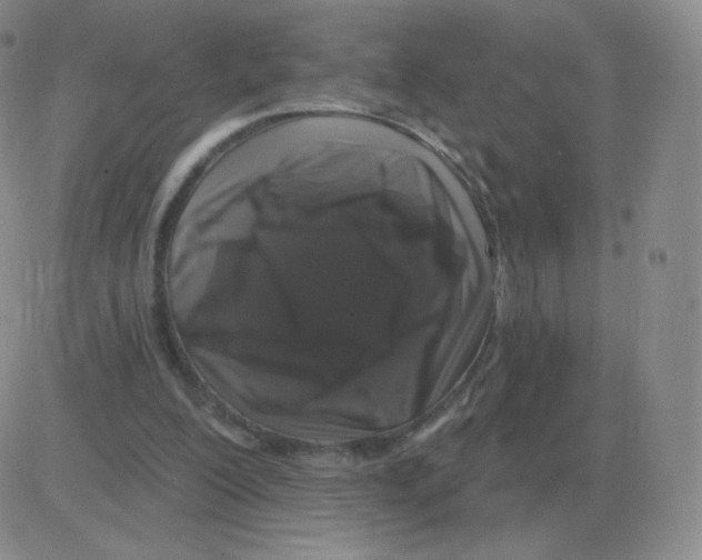 X0000082680200200702232146