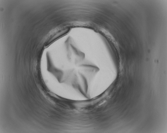 X0000082680201200702232146