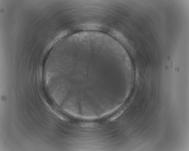 X0000082680202200702232146