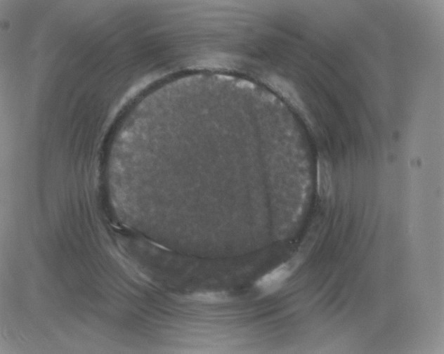 X0000082680204200702232146