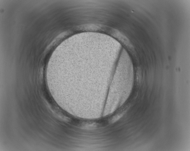 X0000082680206200702232146