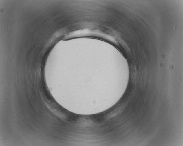 X0000082680207200702232146