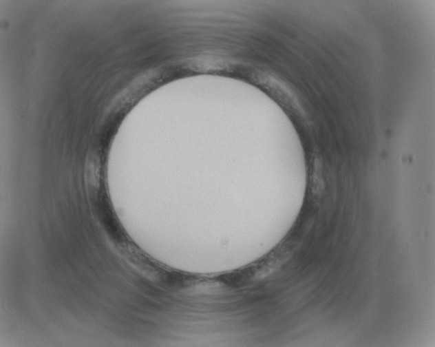 X0000082680210200702232146