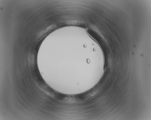 X0000082680211200702232146