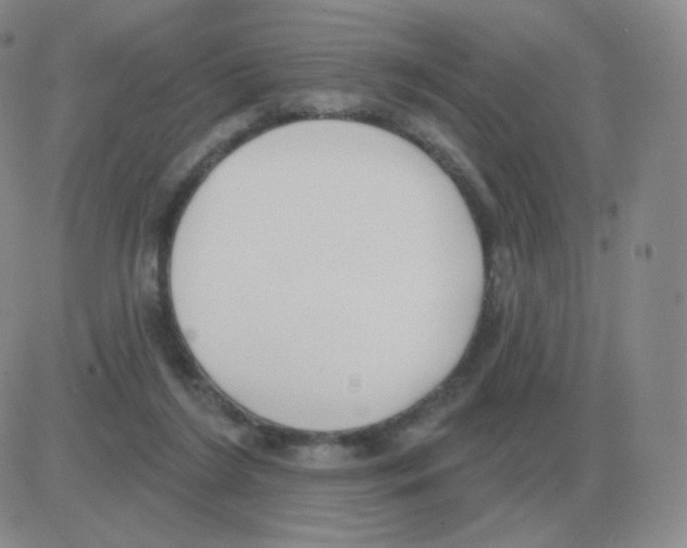 X0000082680212200702232146