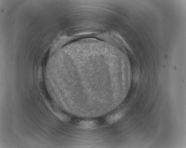 X0000082680213200702232146