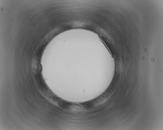 X0000082680215200702232146