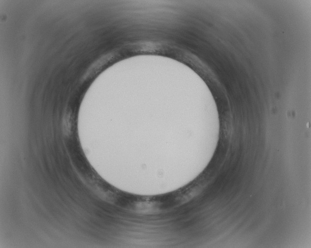 X0000082680216200702232146