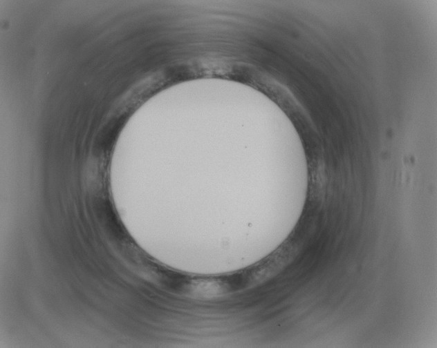 X0000082680218200702232146