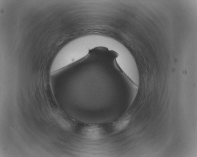 X0000082680219200702232146