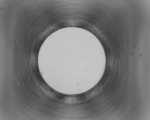 X0000082680220200702232146