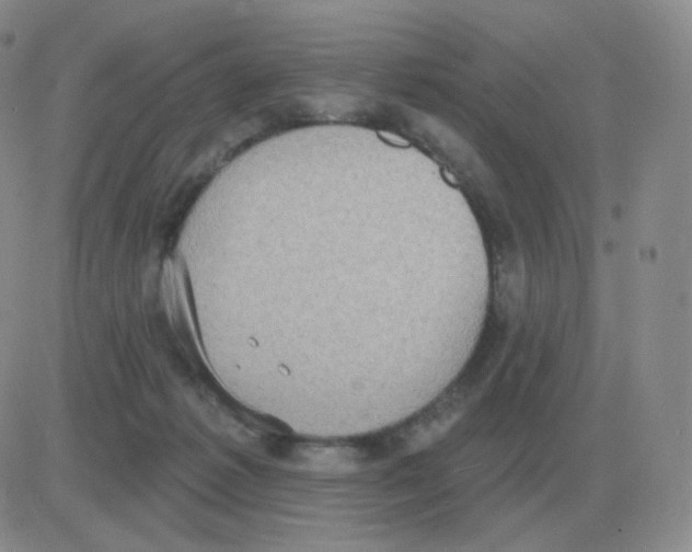 X0000082680221200702232146