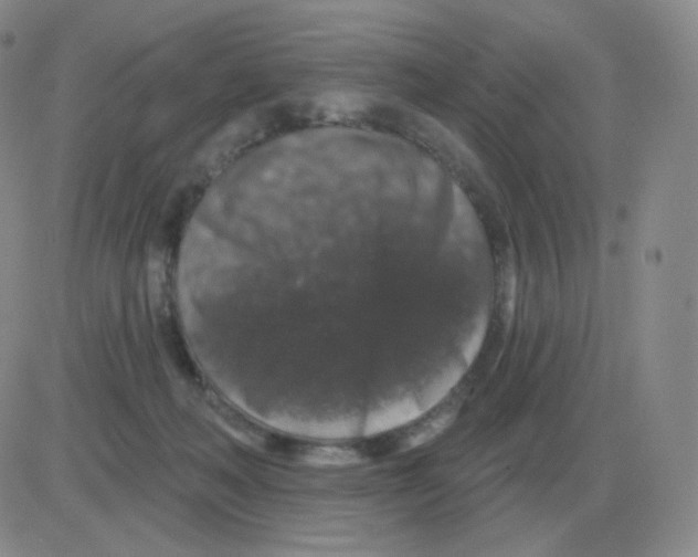 X0000082680222200702232146