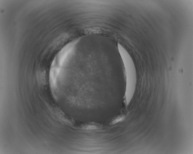 X0000082680224200702232146