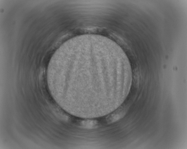 X0000082680225200702232146