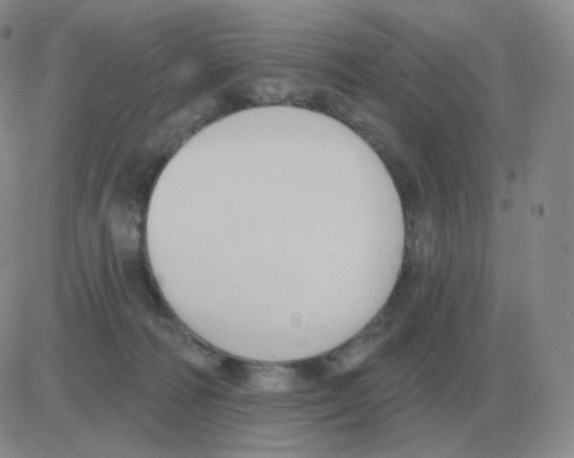 X0000082680226200702232146