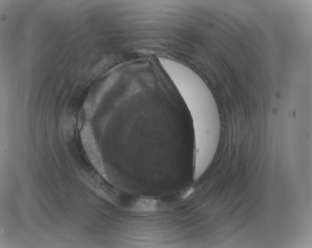 X0000082680227200702232146