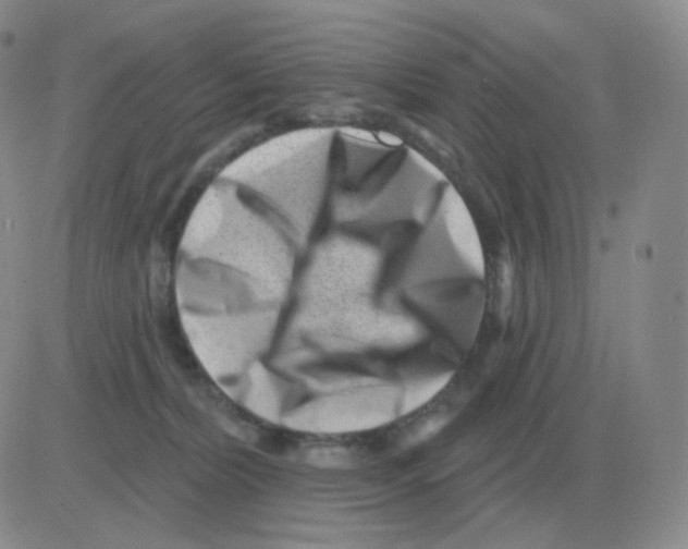 X0000082680228200702232146