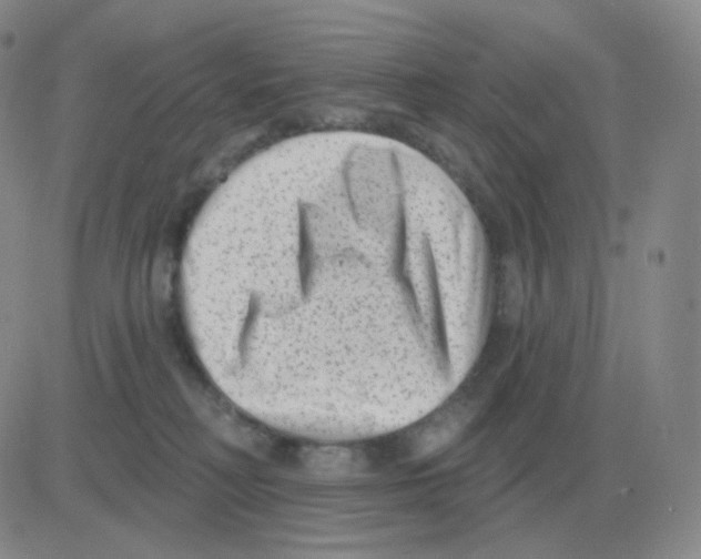 X0000082680230200702232146