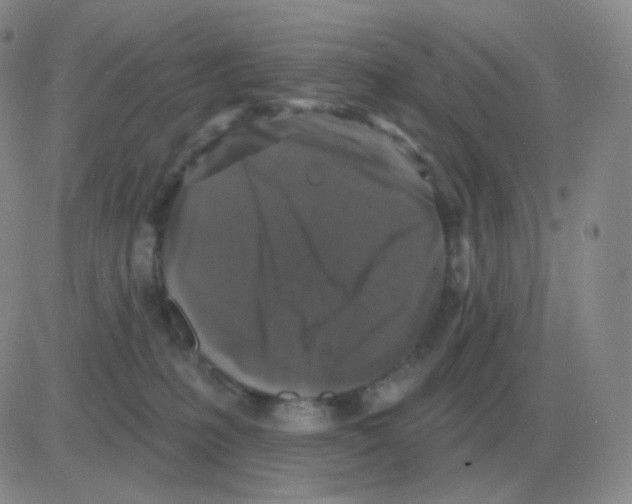 X0000082680231200702232146