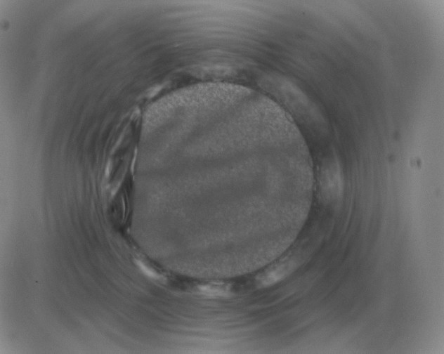 X0000082680232200702232146