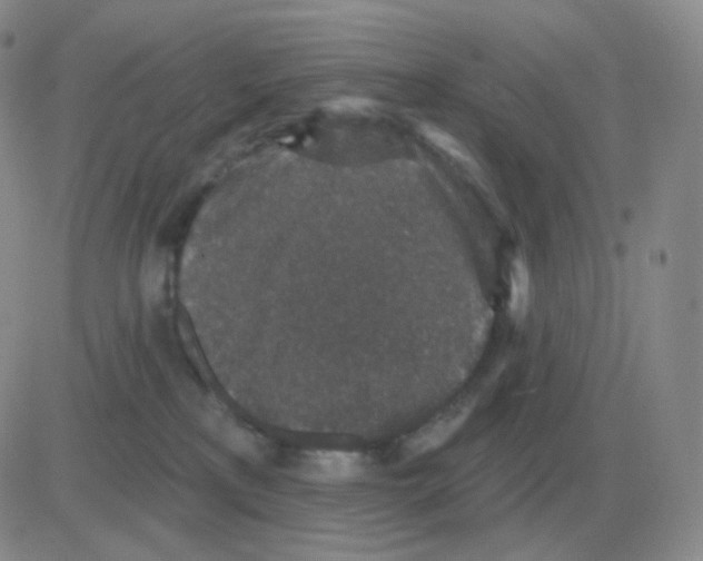 X0000082680233200702232146