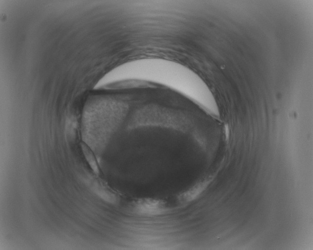 X0000082680235200702232146