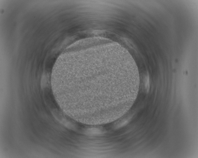 X0000082680236200702232146