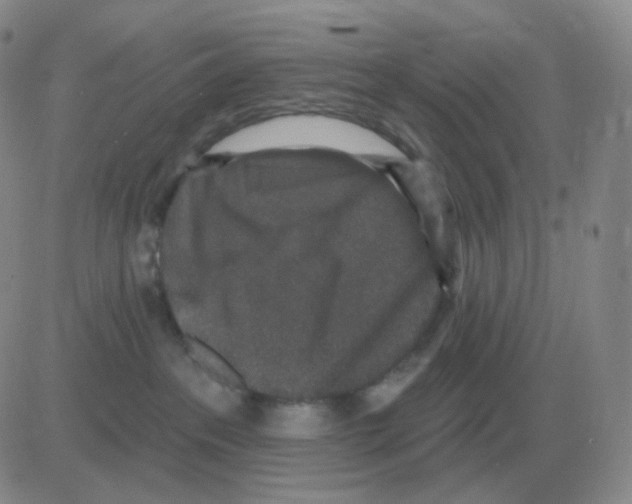 X0000082680237200702232146