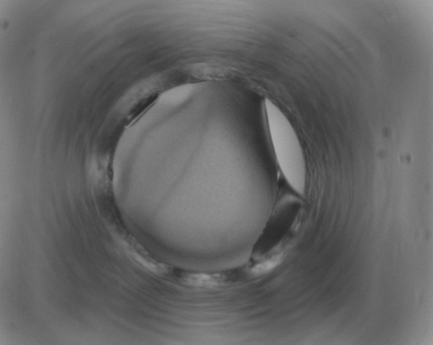 X0000082680239200702232146