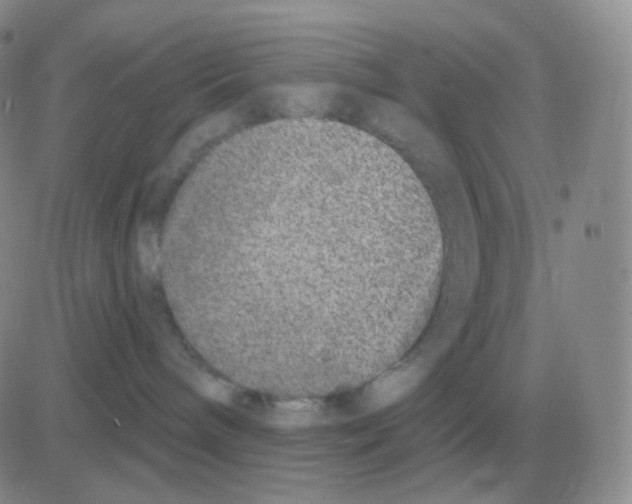 X0000082680240200702232146