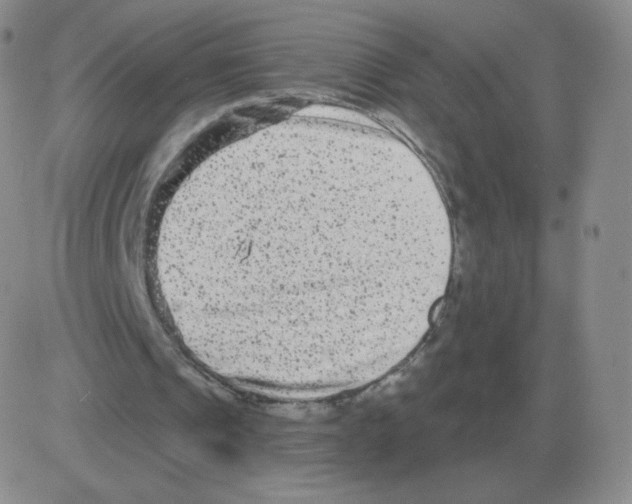 X0000082680241200702232145