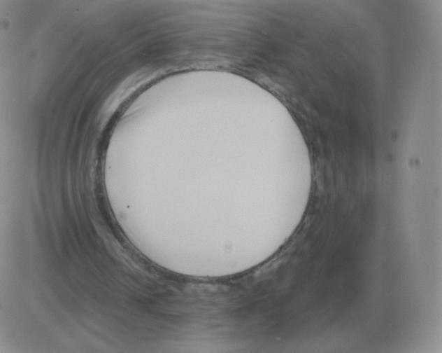 X0000082680242200702232145