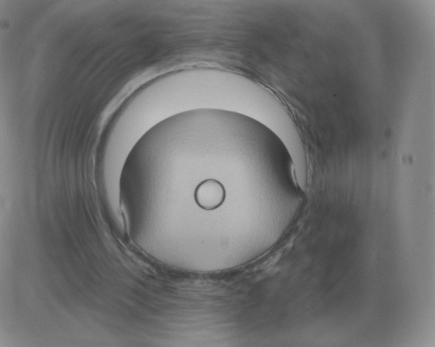 X0000082680244200702232145