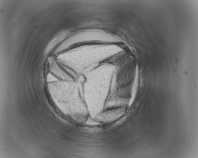 X0000082680245200702232145