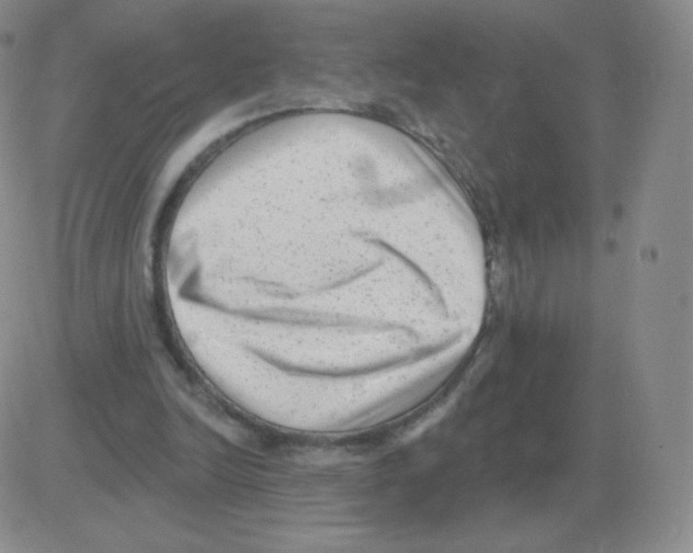 X0000082680246200702232145