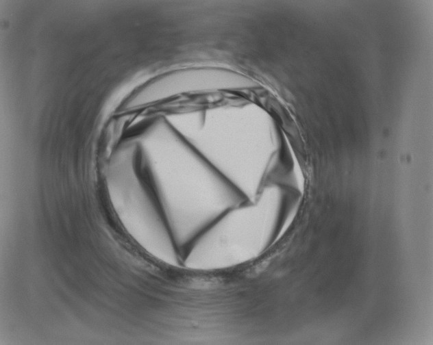 X0000082680248200702232145