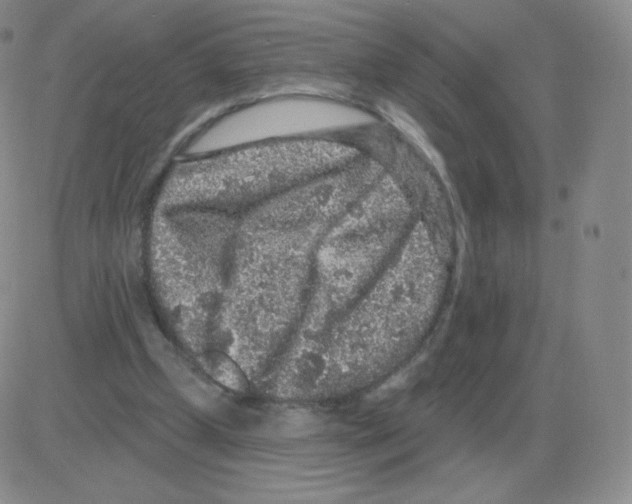 X0000082680249200702232145