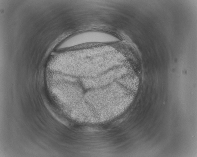 X0000082680250200702232145