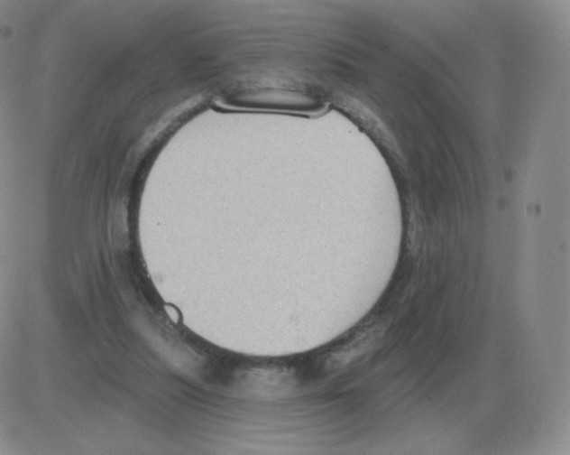 X0000082680251200702232145